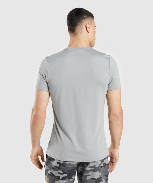 Panske Tricka Gymshark Arrival Graphic Siva | VO1857249